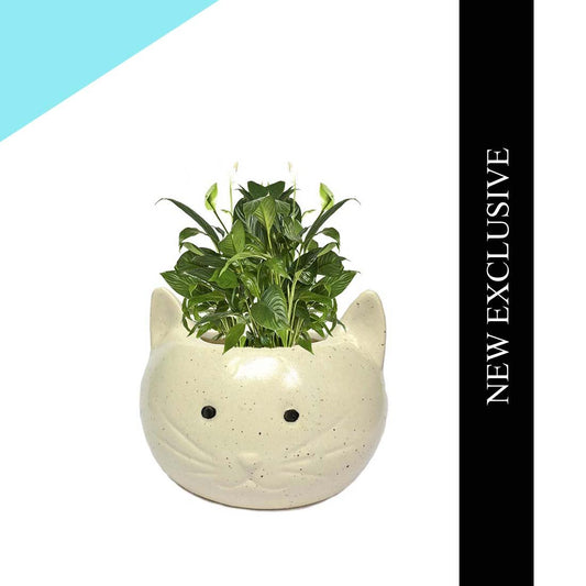 White Cat Ceramic Planter Pot Without Plant