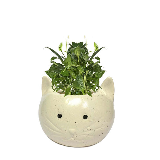 White Cat Ceramic Planter Pot Without Plant