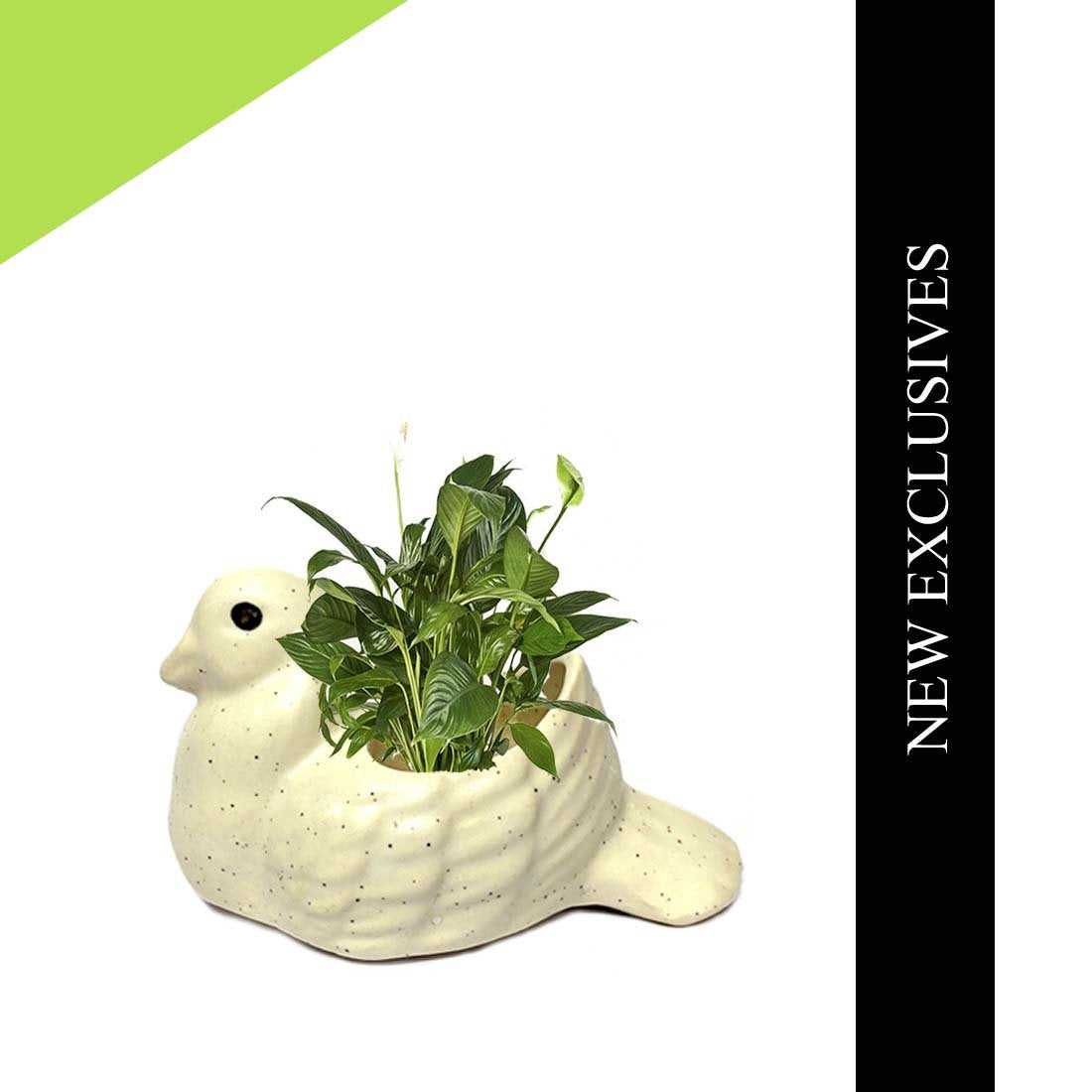 White Bird Ceramic Planter Pot Without Plant – Tiaraa