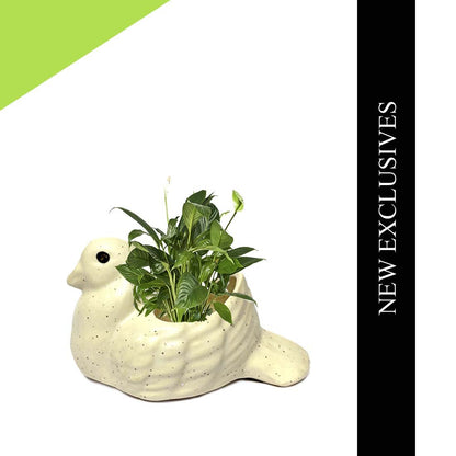 White Bird Ceramic Planter Pot Without Plant